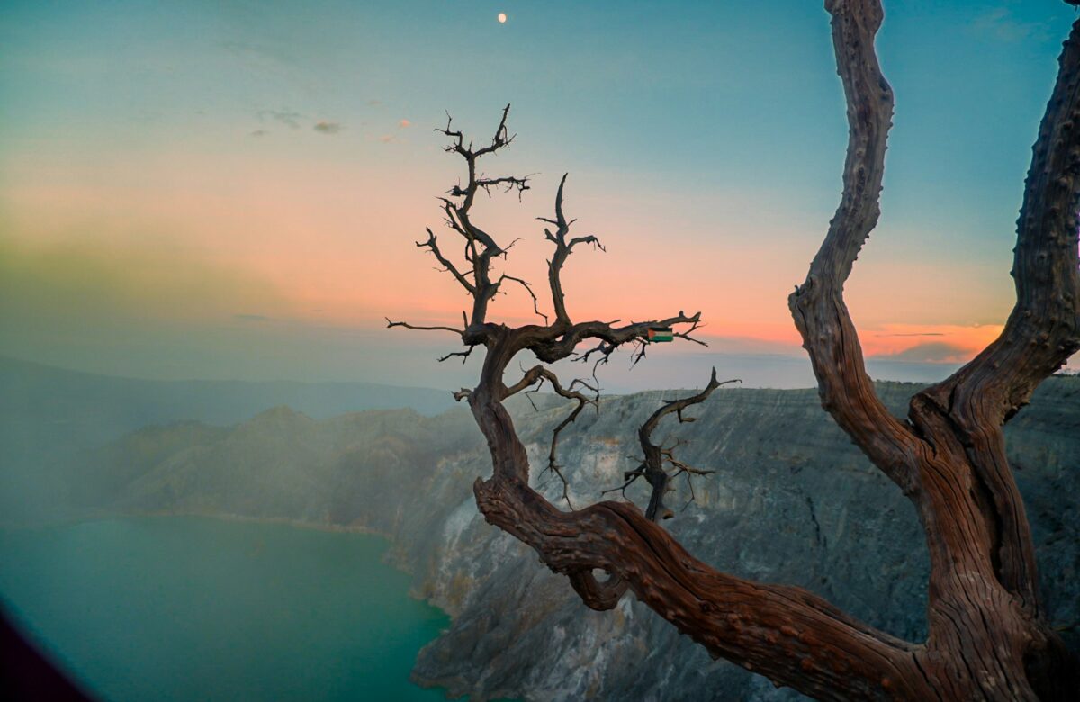 dea-febriano-yuvica-JrsgbeaCeew-unsplash