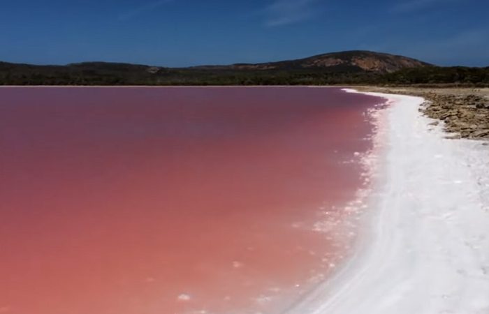 1280px-Lake_Hillier_Shoreline_Pink_Hue_Salt_Deposite
