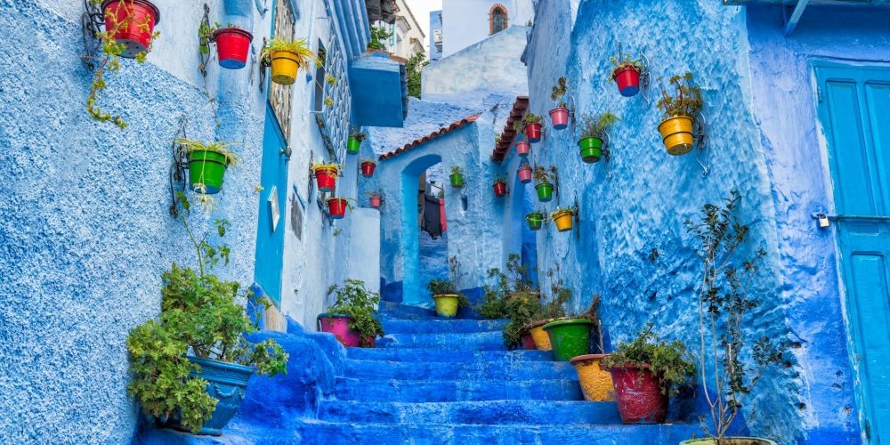 milad-alizadeh-JibMa0FbyHw-unsplash